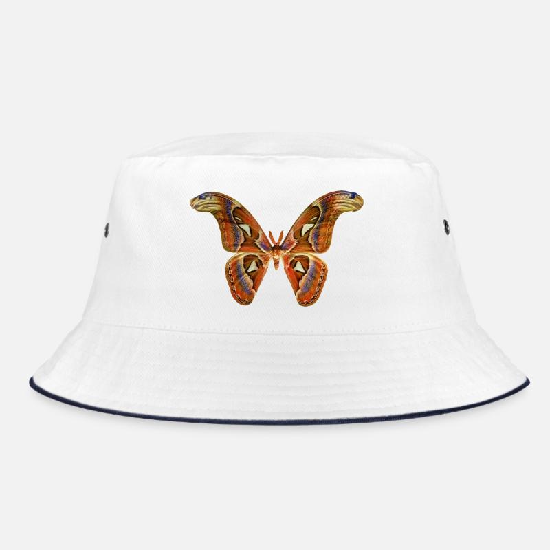 Papillon Bob