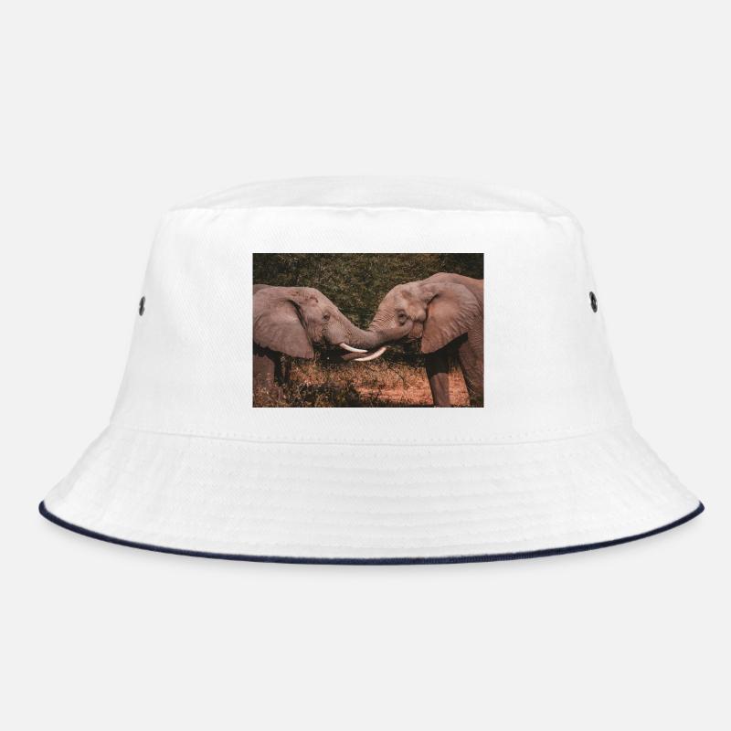 Elephants Intertwining Trunks  Bucket Hat