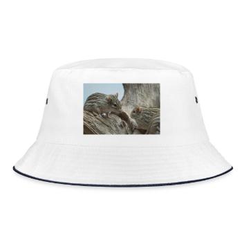 Zwei kleine Nagetiere mit gestreiftem Fellgesicht - Bucket Hat - Weiß/Navy - Vorne