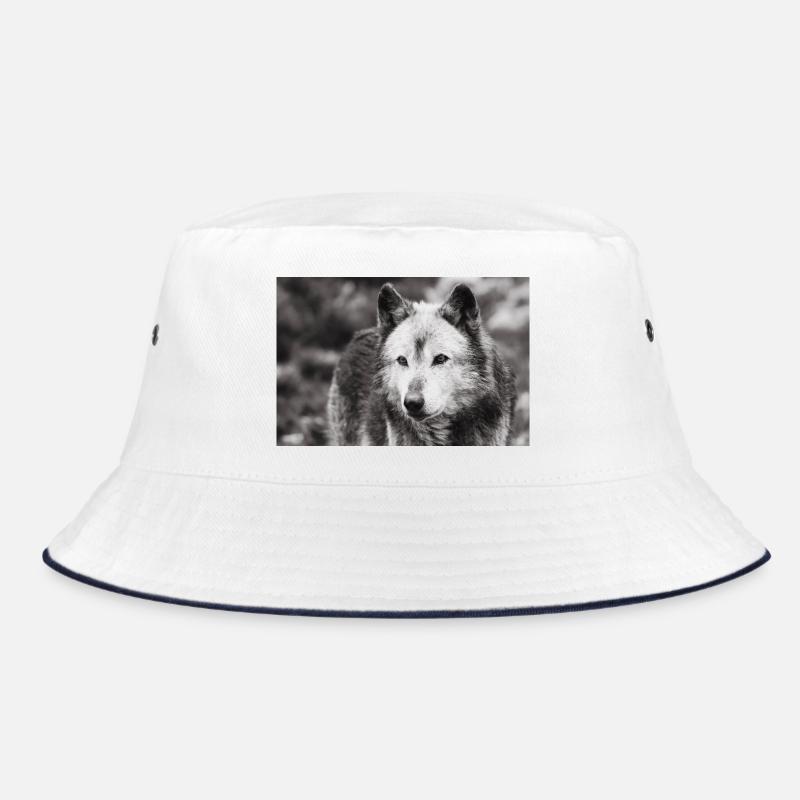 Loup solitaire noir et blanc - Bob - blanc/marine