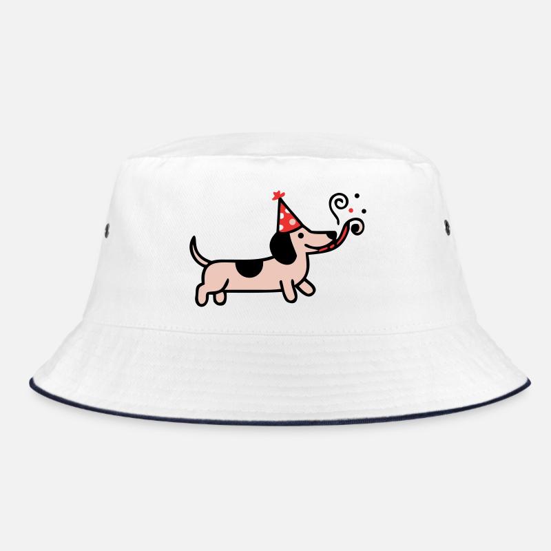 Fête Teckel Chien d’anniversaire Bob