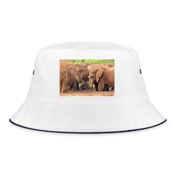 Herd of elephants bathing in the waterhole - Bucket Hat - white/navy - Front