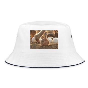 Ostrich chicks in the nest - Bucket Hat - white/navy - Front