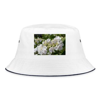Hydrangea: Asian shrub hydrangea - Bucket Hat - white/navy - Front