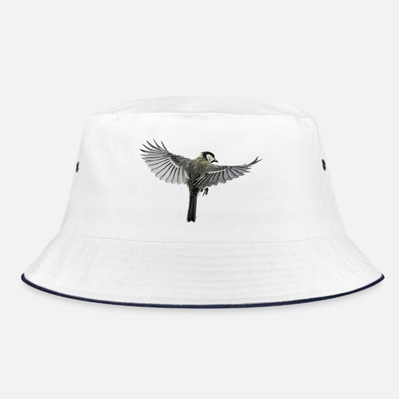 oiseau Bob