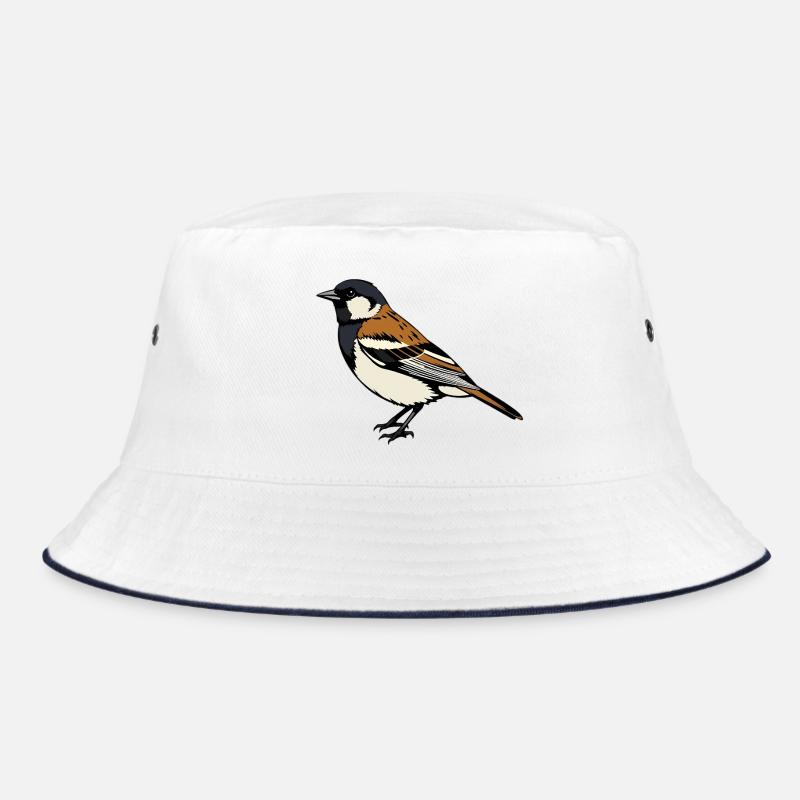 Moineau Oiseau Bob