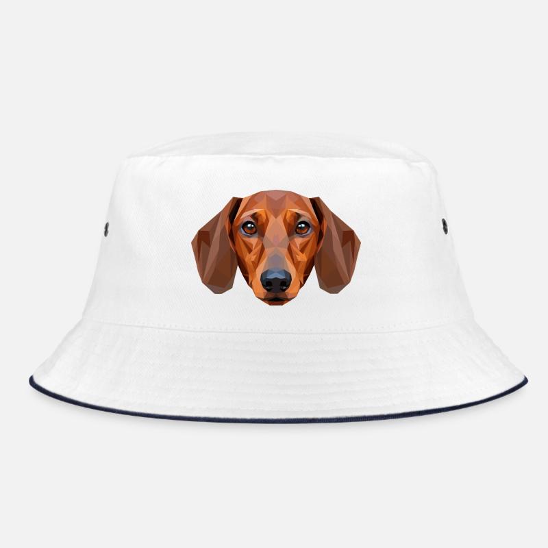 Teckel, teckel, teckel miniature, Club teckel, teckel Bob