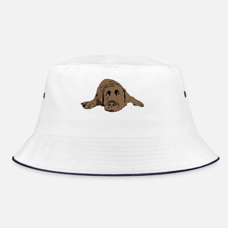 Bob