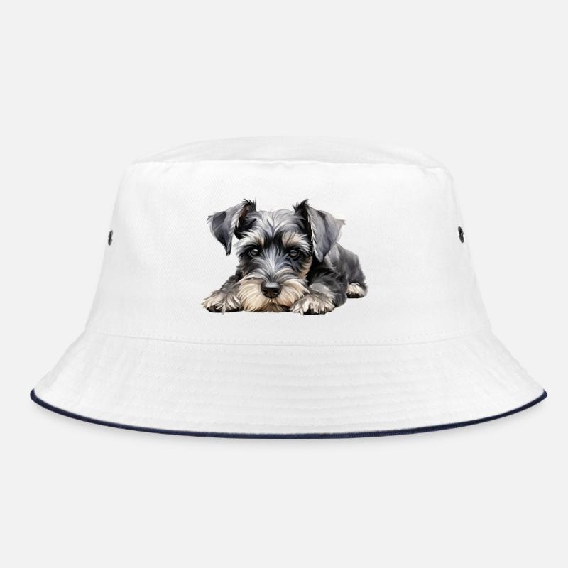 Schnauzer nain Bob