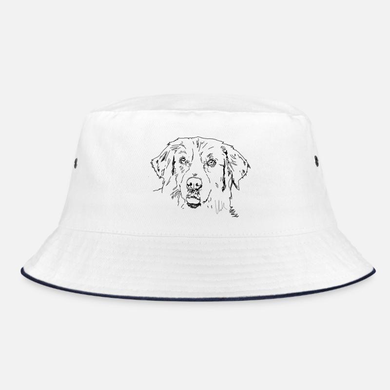 Golden Retrievers - Bob - blanc/marine