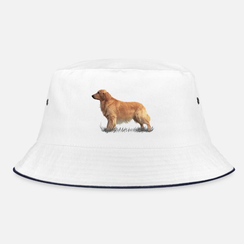 Golden retriever - Bob - blanc/marine