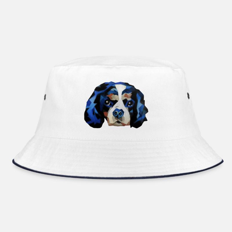 Épagneul Cavalier King Charles - Bob - blanc/marine