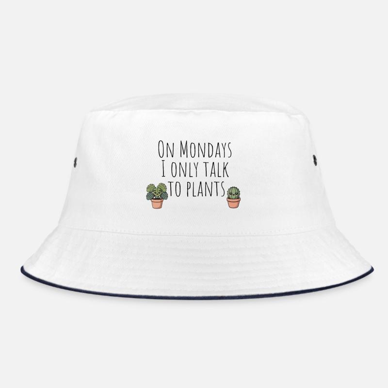 Illustration de plante duo de cactus mignon Bob