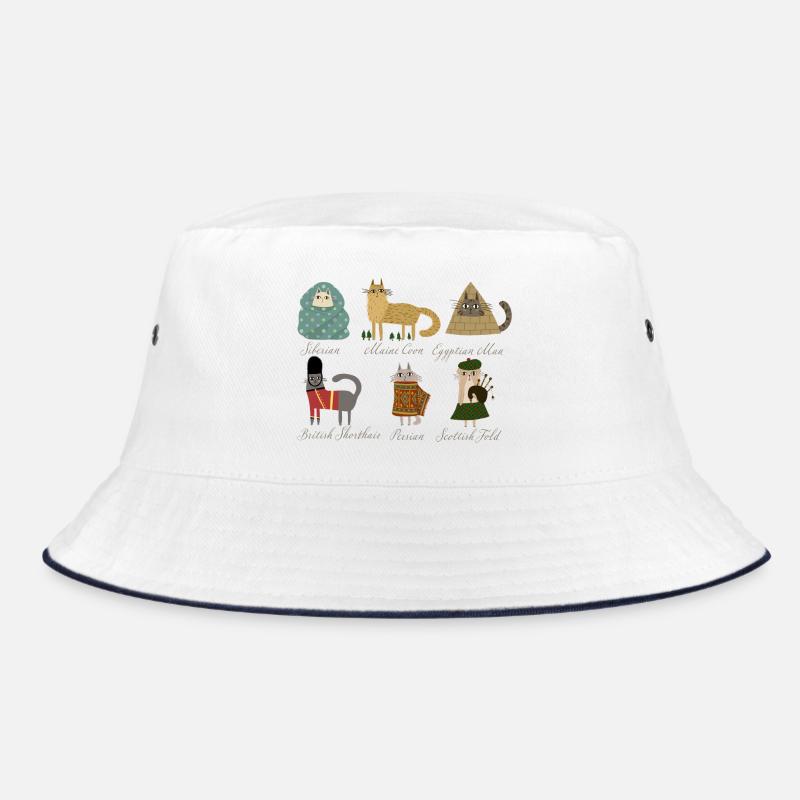 Races de chats Bob
