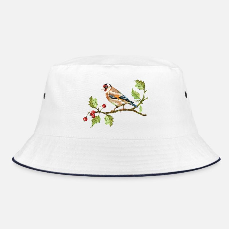 Oiseau coloré Bob