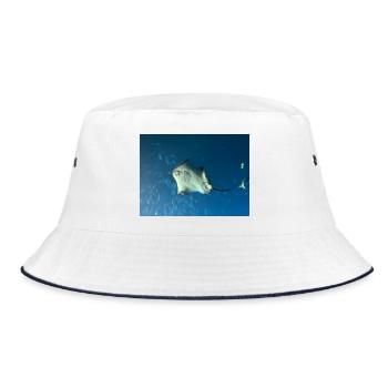 Manta des grandes profondeurs dans l’océan bleu - Bob - blanc/marine - Devant
