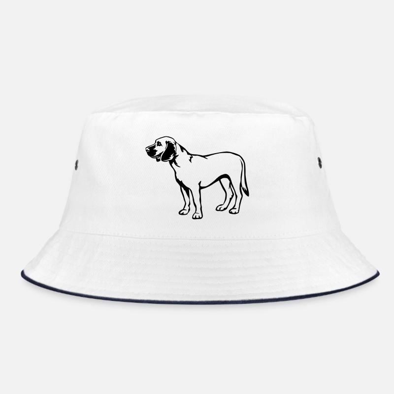 Chien de sueur hanovrien Bob
