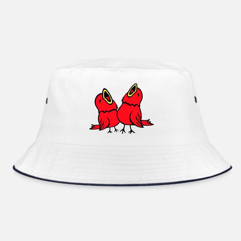 2 perruches, oiseaux chanteurs, moineaux, équipe de gazouillis Bob