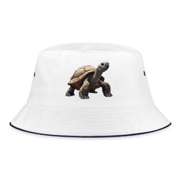Tortues Tortue - Bob - blanc/marine - Devant