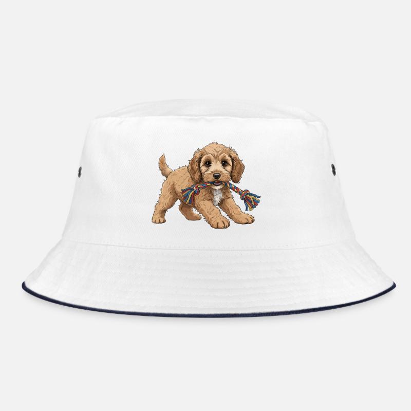 Chiot Cockapoo Bob
