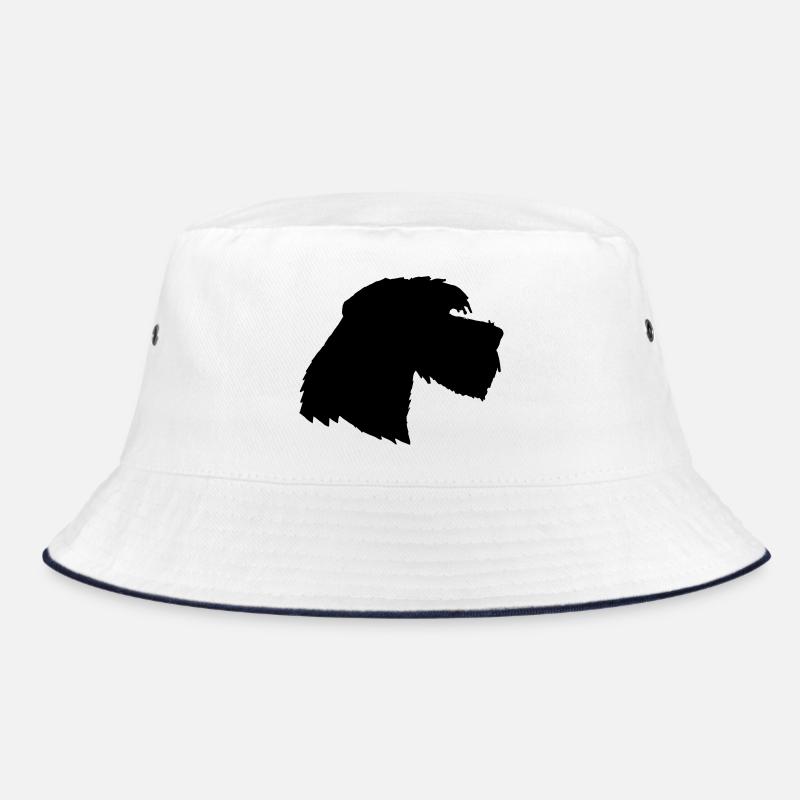Chien Géant Schnauzer 3, Schnauzer schön Bob
