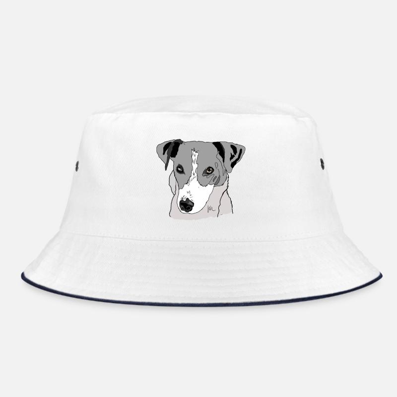 Jack Russel Terrier Bob