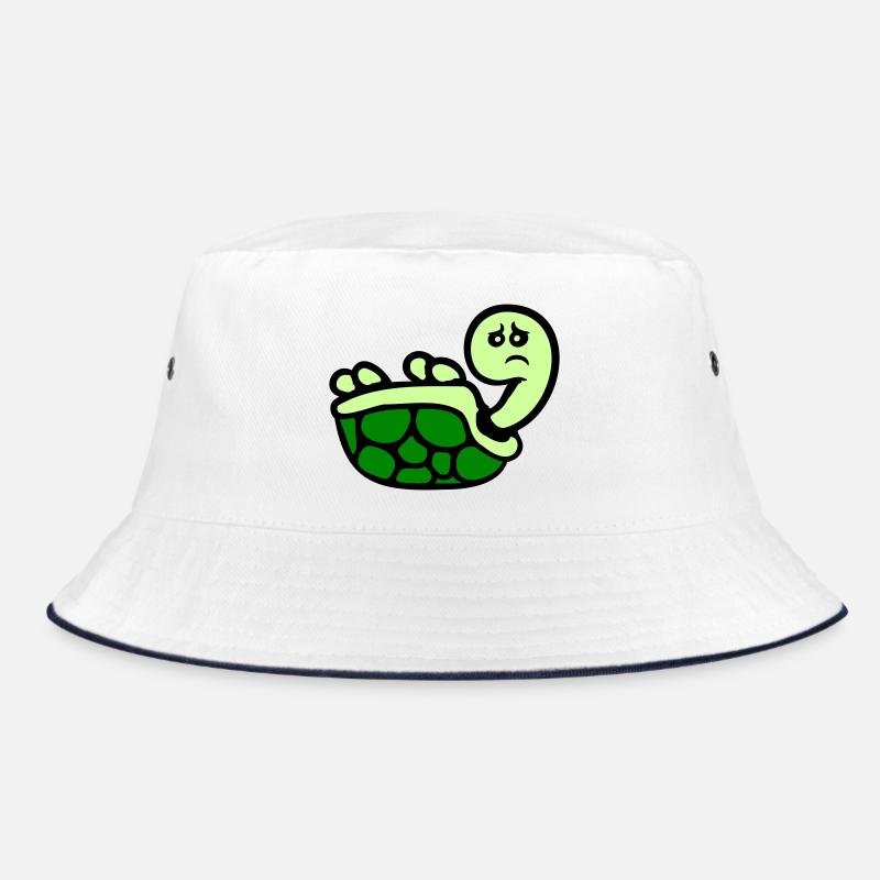 Tortue renversée sur le dos, triste Bob