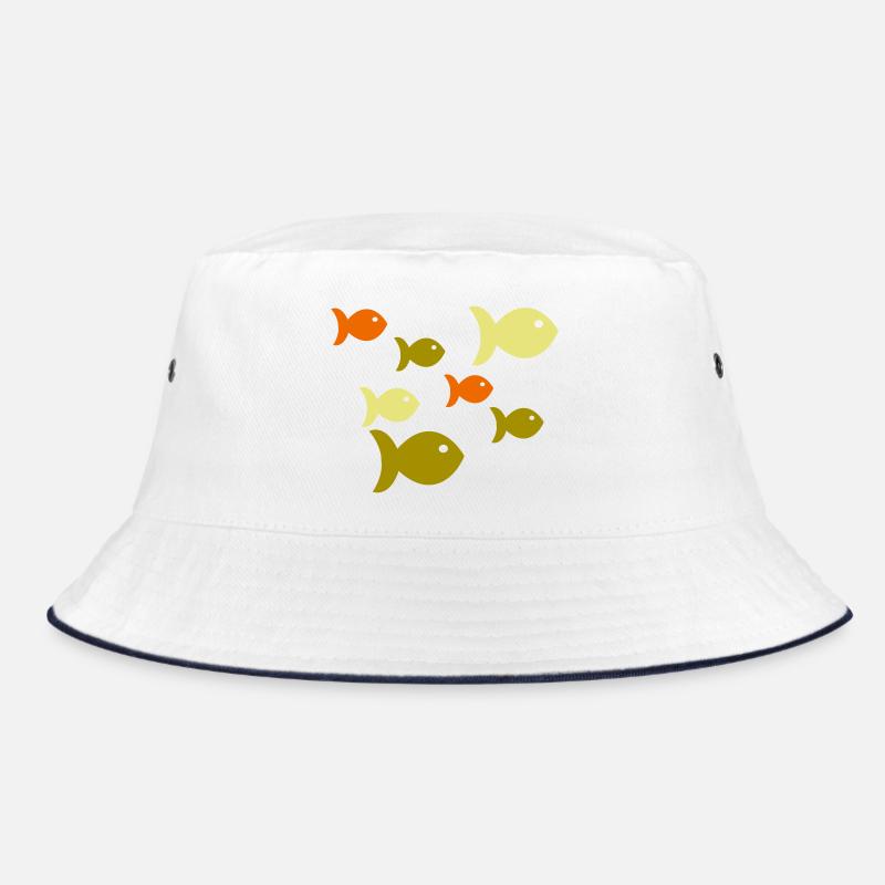 École des poissons Bob