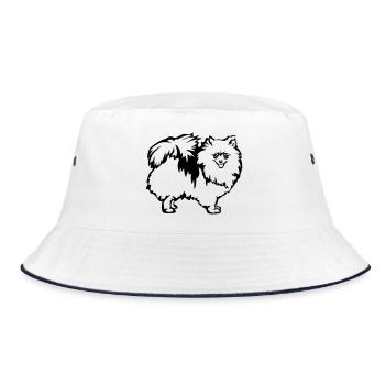 Spitz nain - Bob - blanc/marine - Devant