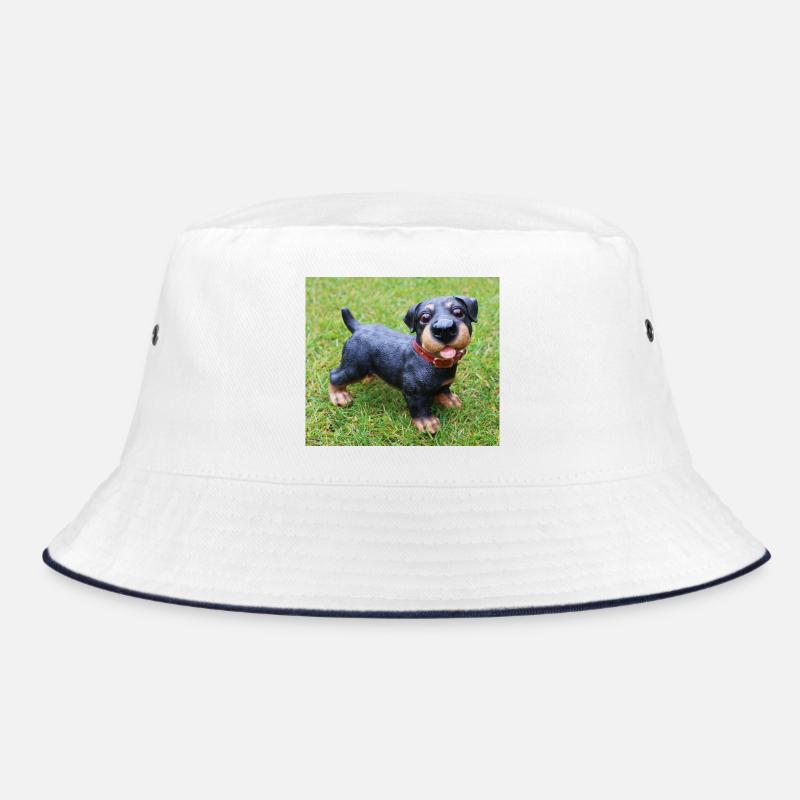 Mignon chiot teckel imprimé Bob