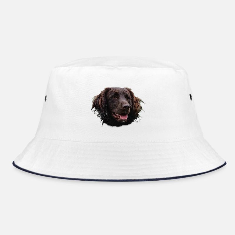 Münsterländer, chiens, chien de chasse Bob