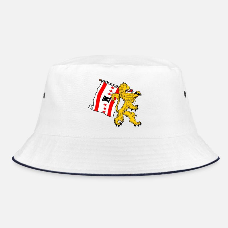 Lion avec drapeau Drenthe drenthe drapeau Bob
