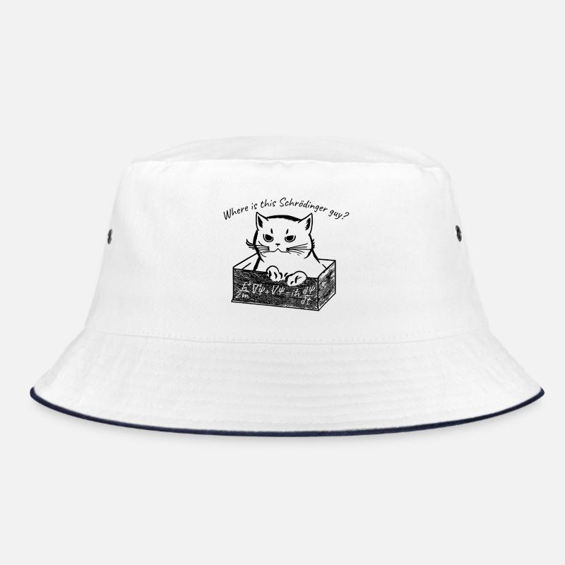 Chat de Schödinger Bob