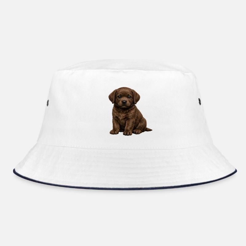 Chiot labrador chocolat Bob