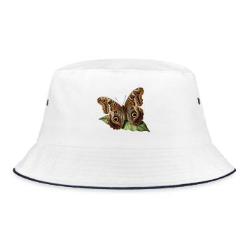 Caligo eurilochus — Papillon hibou naturaliste - Bob - blanc/marine - Devant