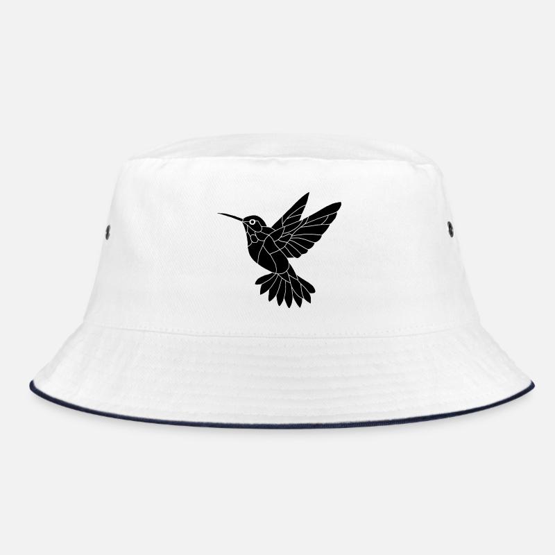 Colibri noir Bob