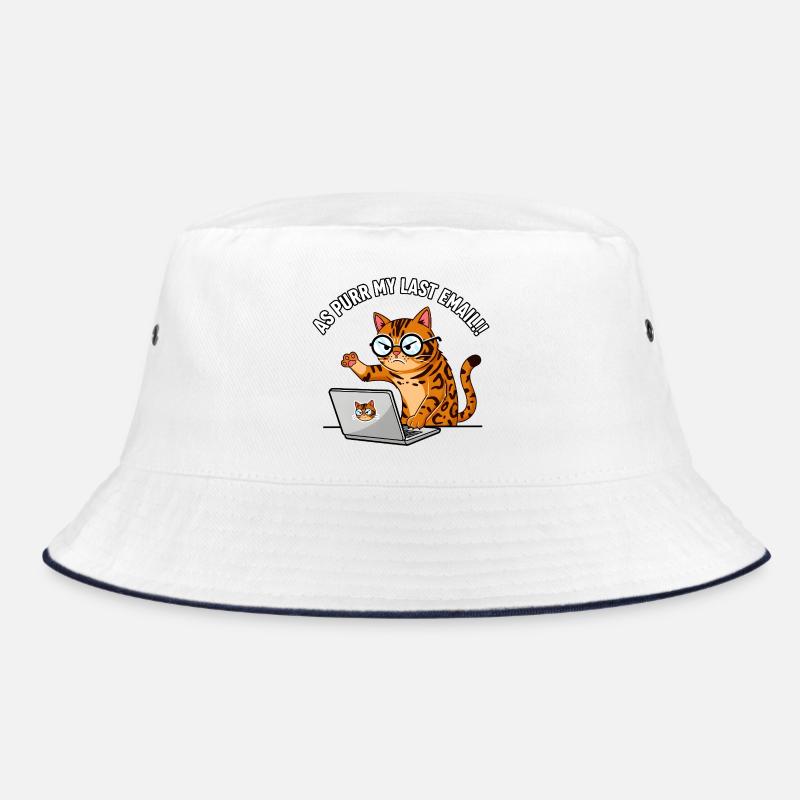 Chat de bureau en colère ronronne Mon dernier e-mail Bob