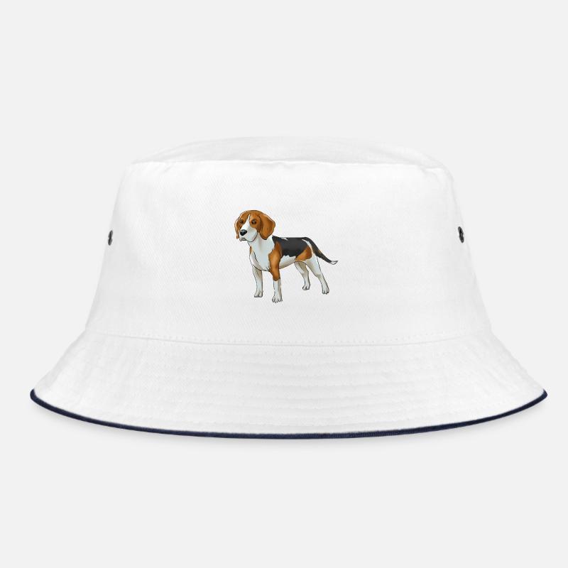 chien Beagle - Bob - blanc/marine
