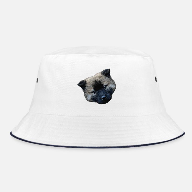 Fermeture du chiot, chiot eurasier Bob