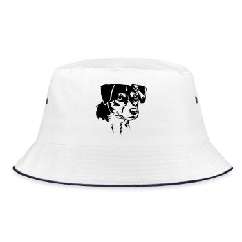 Dansk Svensk Gaardhond Tête - Bob - blanc/marine - Devant