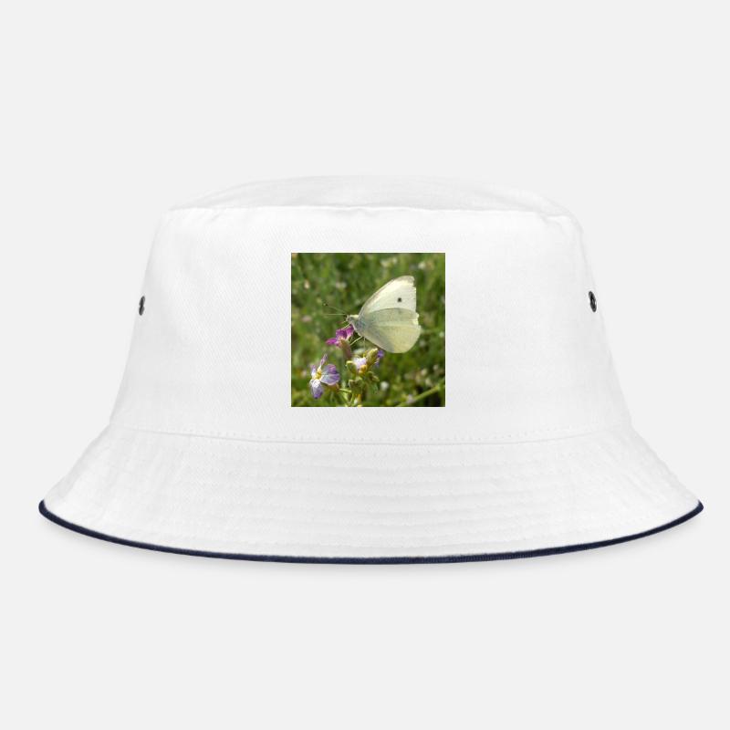 Bob