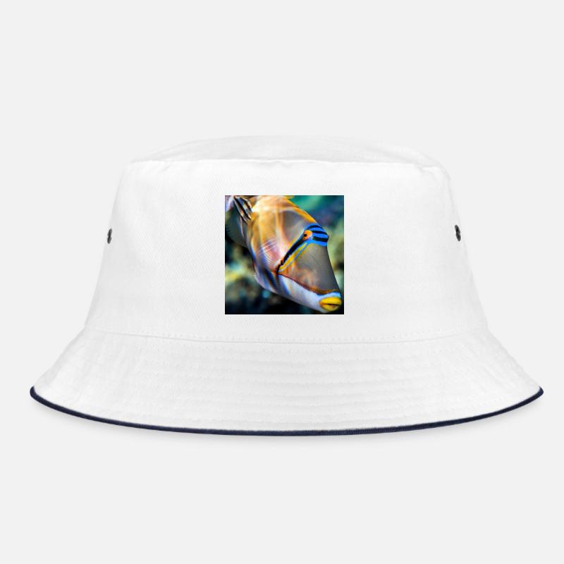 Bob