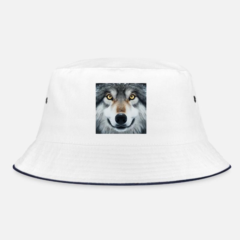 Le regard du loup Bob