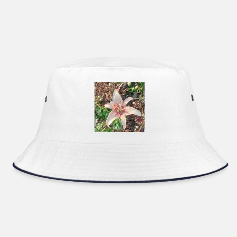 Douces fleurs de lys roses Bob