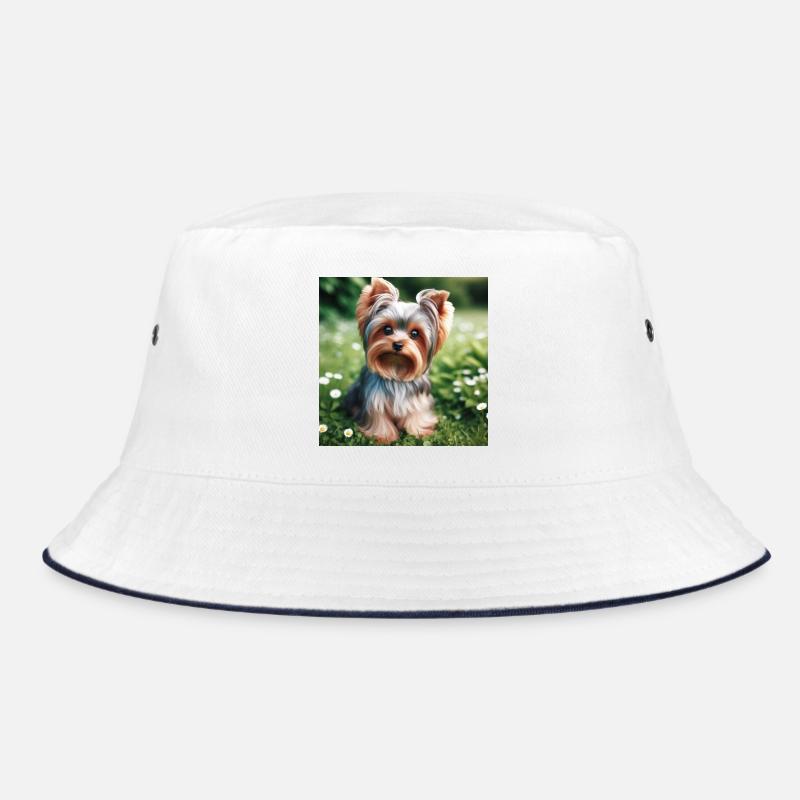 Yorkshire Terrier Bob