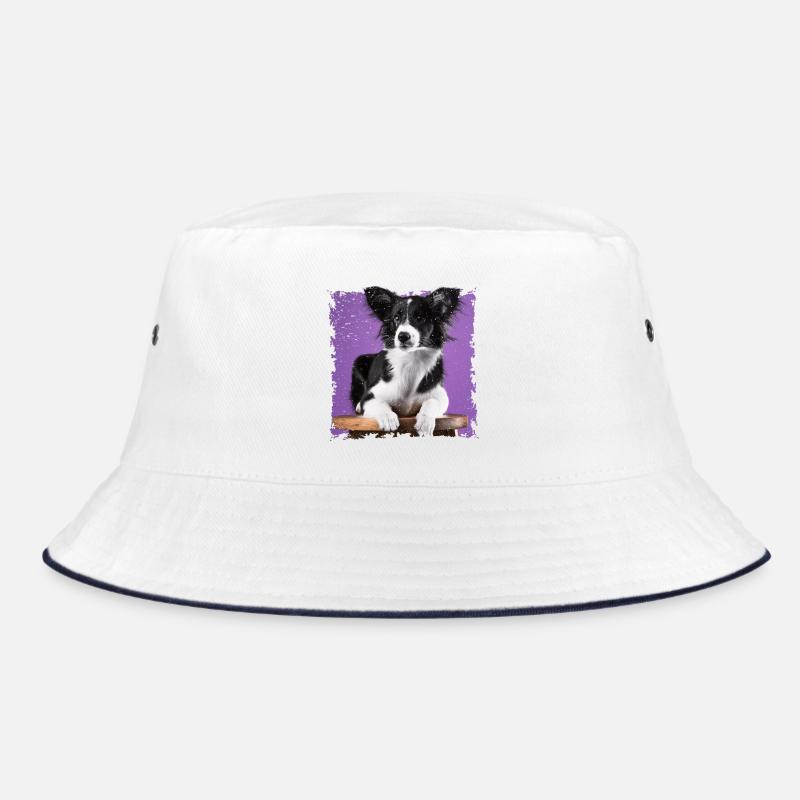 Chien assis sur un tabouret Bob