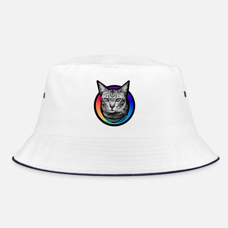 Chat arc-en-ciel Bob