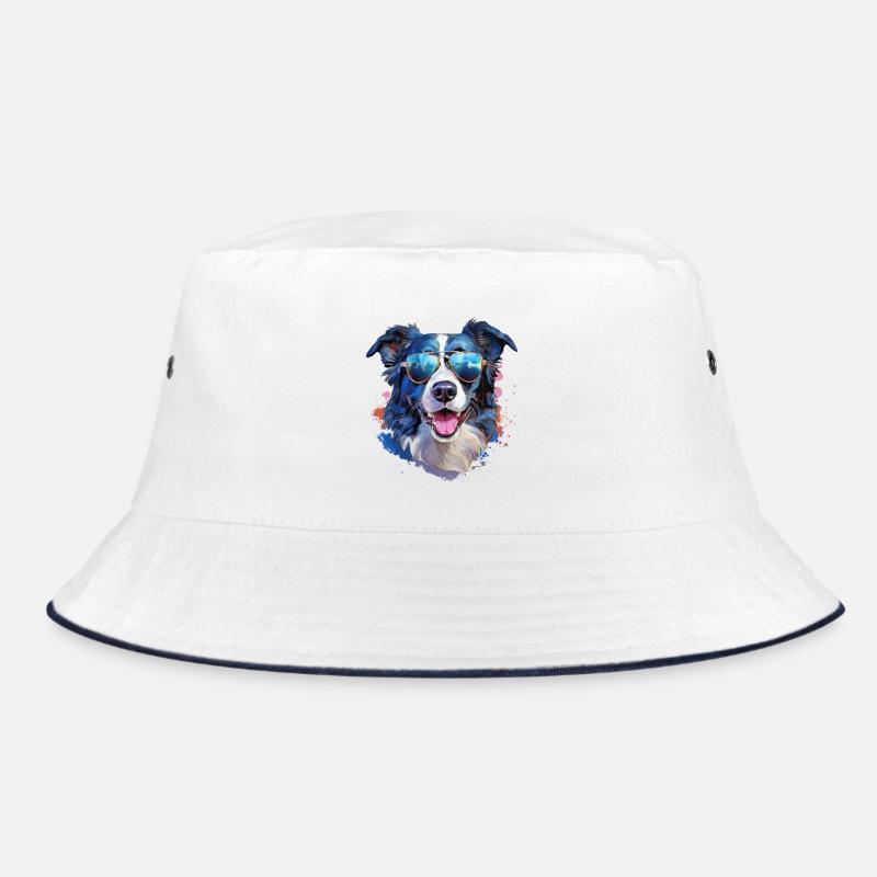 Border Collie avec lunettes de soleil Bob