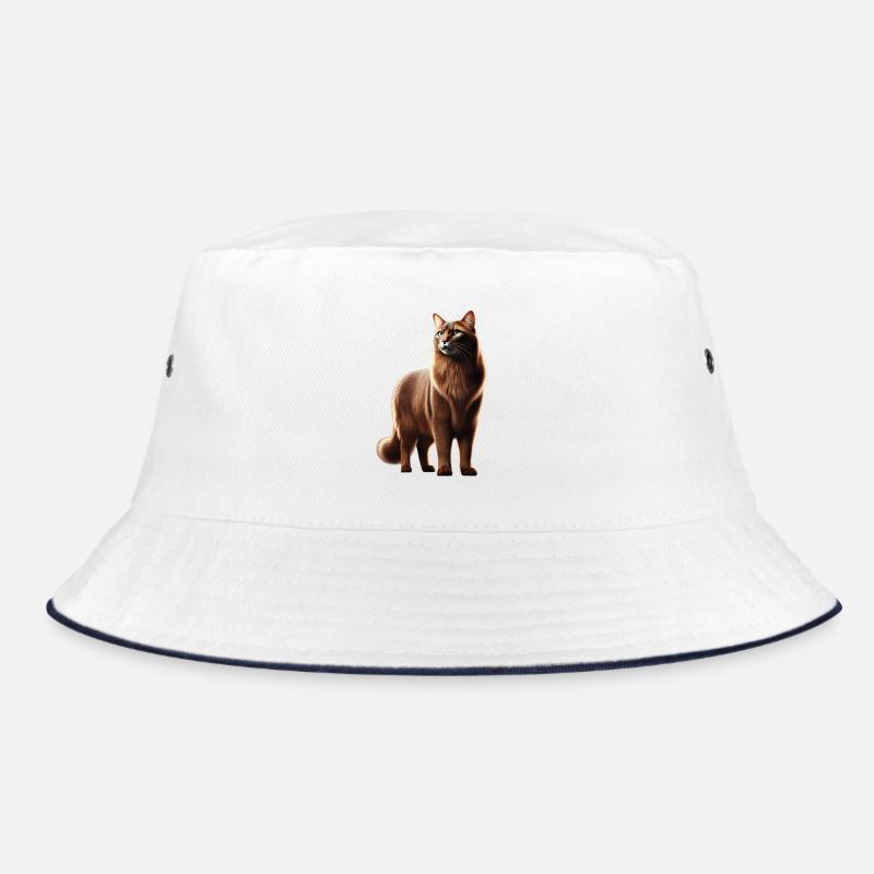 Brun chat Bob