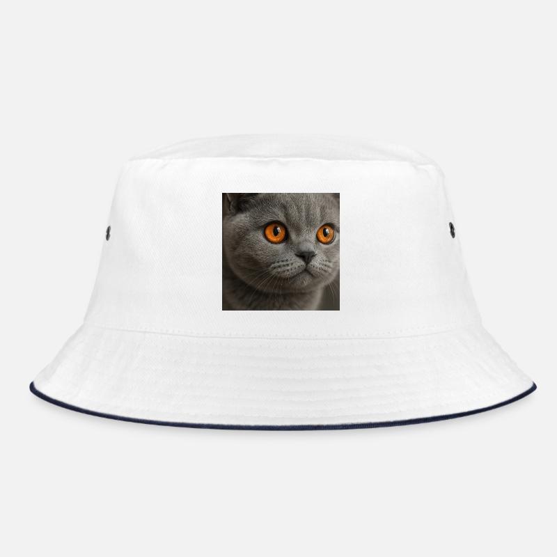 Conception détaillée de l’œil de chat Bob